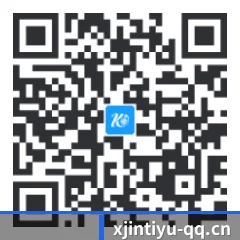 iOS 苹果生态原生版 二维码